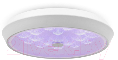 Потолочный светильник Freya FR10012CL-L24W