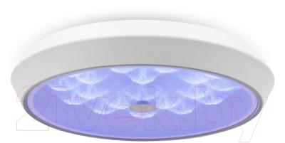 Потолочный светильник Freya FR10012CL-L24W