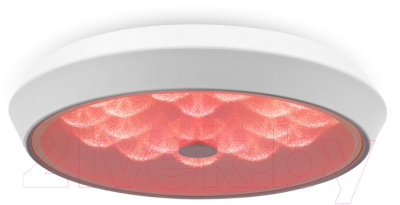 Потолочный светильник Freya FR10012CL-L24W