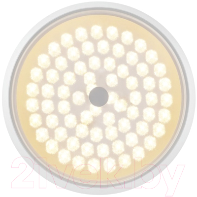Потолочный светильник Freya FR10012CL-L24W