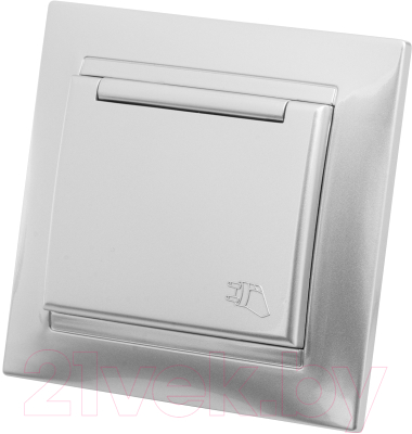 Розетка TDM Лама SQ1815-0226 - фото