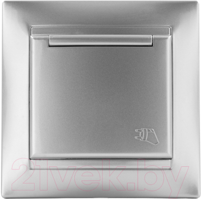 Розетка TDM Лама SQ1815-0226