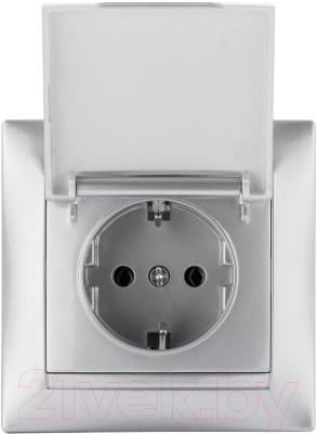 Розетка TDM Лама SQ1815-0226