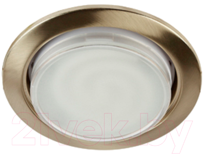 Точечный светильник ЭРА KL35 SB /1 (к) / Б0048951 - фото