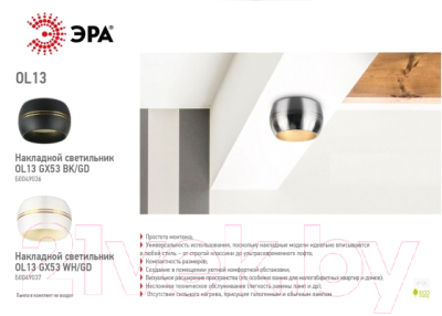 Точечный светильник ЭРА OL13 GX53 BK/GD / Б0049036