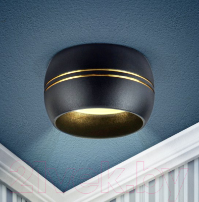 Точечный светильник ЭРА OL13 GX53 BK/GD / Б0049036