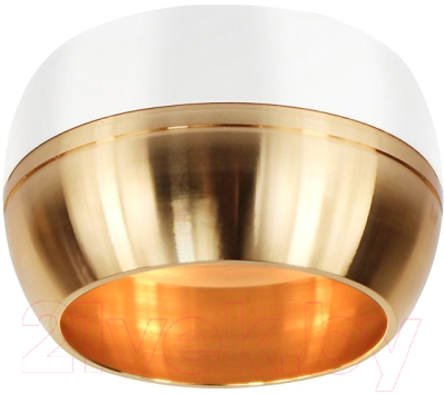 Точечный светильник ЭРА OL14 GX53 WH/GD / Б0049038 - фото