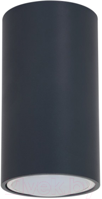 Точечный светильник ЭРА OL15 GU10 DG / Б0049032 - фото