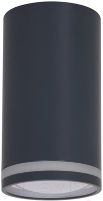 Точечный светильник ЭРА OL16 GU10 BK / Б0049042 - фото