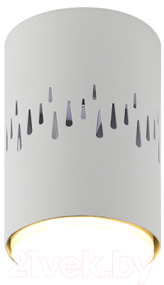 Точечный светильник ЭРА OL11 LD GX53 WH / Б0050271