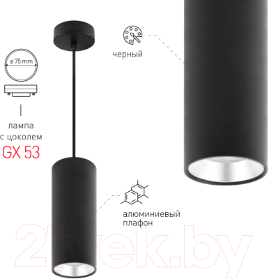 Потолочный светильник ЭРА PL12 GX53 BK/SL / Б0048544