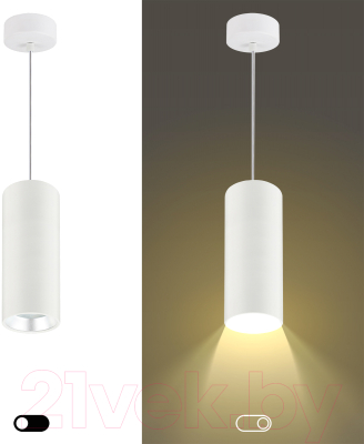 Потолочный светильник ЭРА PL12 GX53 WH/SL / Б0048543