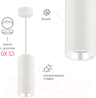 Потолочный светильник ЭРА PL12 GX53 WH/SL / Б0048543