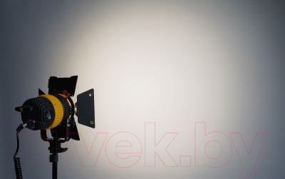 Осветитель студийный FST SPL-800 / ут-00000508