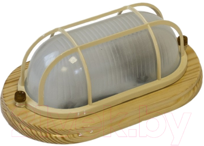 Светильник ЖКХ ЭРА Кантри НБО 04-60-012 / Б0048417 - фото