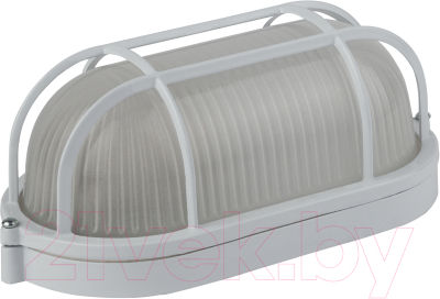Светильник ЖКХ ЭРА Акватермо НБП 04-60-002 / Б0048425 - фото