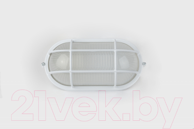 Светильник ЖКХ ЭРА Акватермо НБП 04-60-002 / Б0048425