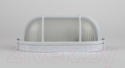 Светильник ЖКХ ЭРА Акватермо НБП 04-60-002 / Б0048425