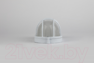 Светильник ЖКХ ЭРА Акватермо НБП 04-60-002 / Б0048425