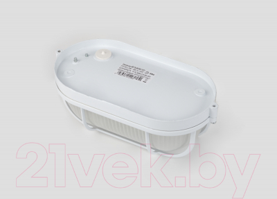 Светильник ЖКХ ЭРА Акватермо НБП 04-60-002 / Б0048425