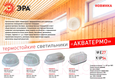 Светильник ЖКХ ЭРА Акватермо НБП 04-60-002 / Б0048425