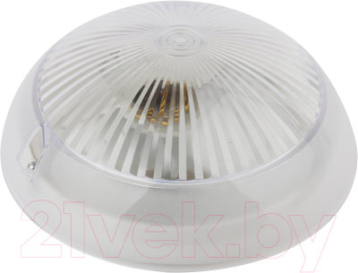 Светильник ЖКХ ЭРА Сириус НБП 06-60-001 / Б0048029 - фото