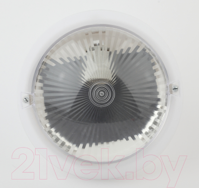 Светильник ЖКХ ЭРА Сириус НБП 06-60-001 / Б0048029