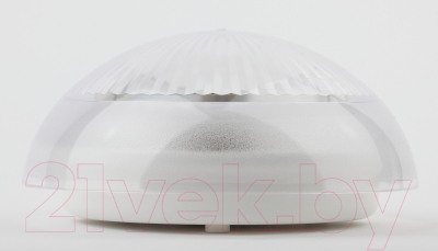 Светильник ЖКХ ЭРА Сириус НБП 06-60-001 / Б0048029