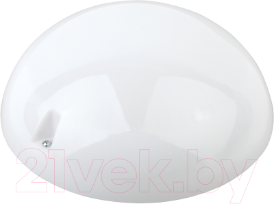 Светильник ЖКХ ЭРА Сириус НБП 06-60-002 / Б0048408 - фото