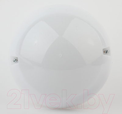 Светильник ЖКХ ЭРА Сириус НБП 06-60-002 / Б0048408