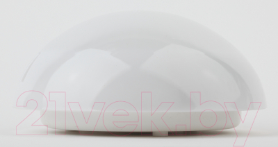 Светильник ЖКХ ЭРА Сириус НБП 06-60-002 / Б0048408