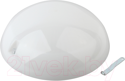 Светильник ЖКХ ЭРА Сириус НБП 06-60-012 / Б0048410 - фото