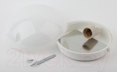 Светильник ЖКХ ЭРА Сириус НБП 06-60-012 / Б0048410