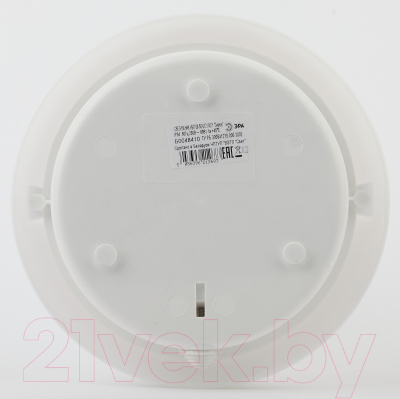 Светильник ЖКХ ЭРА Сириус НБП 06-60-012 / Б0048410