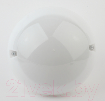 Светильник ЖКХ ЭРА Сириус НБП 06-60-012 / Б0048410