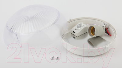 Светильник ЖКХ ЭРА Сириус НБП 06-60-101 / Б0048411