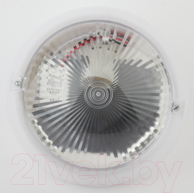 Светильник ЖКХ ЭРА Сириус НБП 06-60-101 / Б0048411