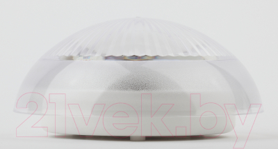 Светильник ЖКХ ЭРА Сириус НБП 06-60-101 / Б0048411