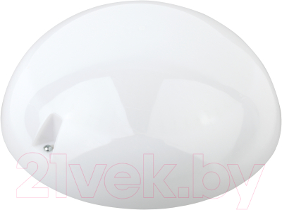 Светильник ЖКХ ЭРА Сириус НБП 06-60-102 / Б0048412 - фото