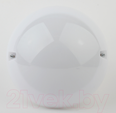 Светильник ЖКХ ЭРА Сириус НБП 06-60-102 / Б0048412