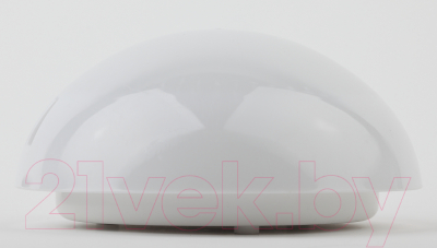 Светильник ЖКХ ЭРА Сириус НБП 06-60-102 / Б0048412