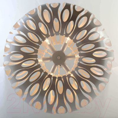 Люстра Rivoli Meike 4080-205 / Б0047924