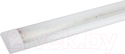 Светильник линейный ЭРА SPO-5-40-6K-P (F) / Б0032481 - фото