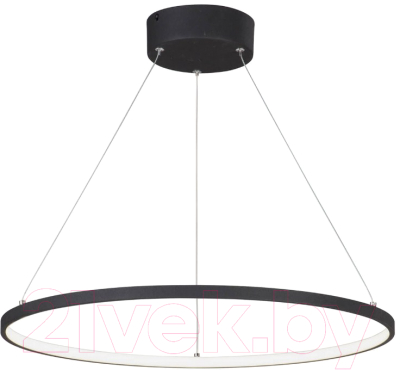 Потолочный светильник Vitaluce V4665-1/1S - фото