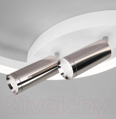 Потолочный светильник Евросвет 90247/3