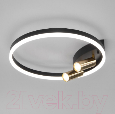 Потолочный светильник Евросвет Smart 90247/3 - фото