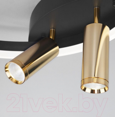 Потолочный светильник Евросвет Smart 90247/3