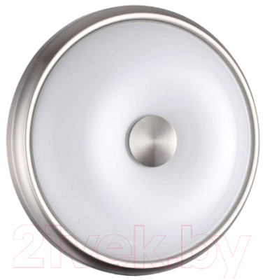 Потолочный светильник Odeon Light Pellow 4957/2 - фото