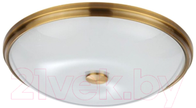 Потолочный светильник Odeon Light Pellow 4956/5 - фото