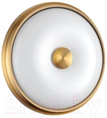 Потолочный светильник Odeon Light Pellow 4956/2 - фото